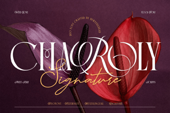 Charoly Signature: Classic Elegance Meets Script Charm